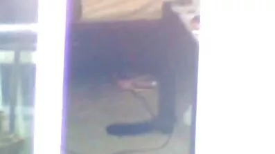To lesbiske fucking pornofilm site på en heldig fyrs pik